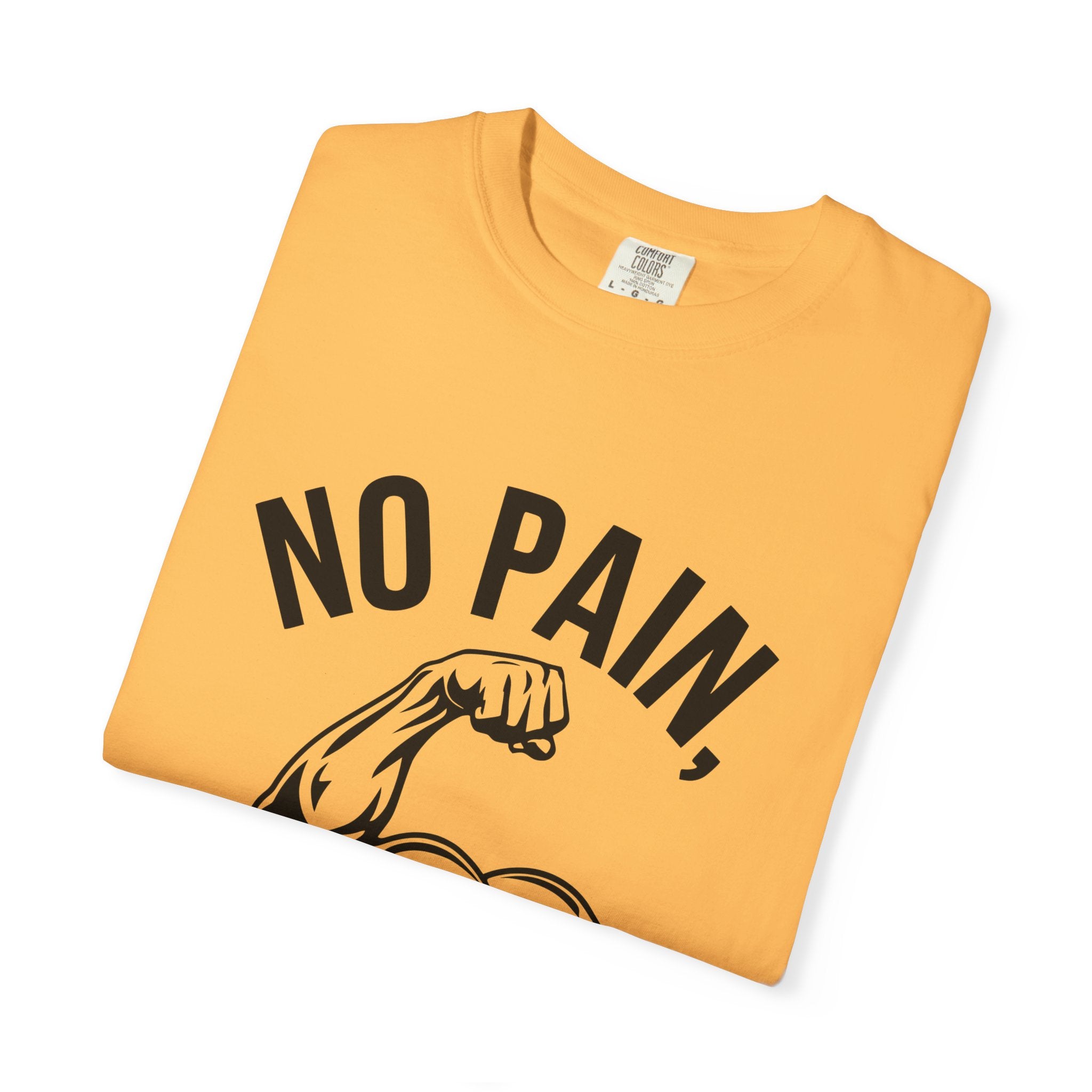 No Pain No Gain Muscle Tee — Motivational Workout T-Shirt