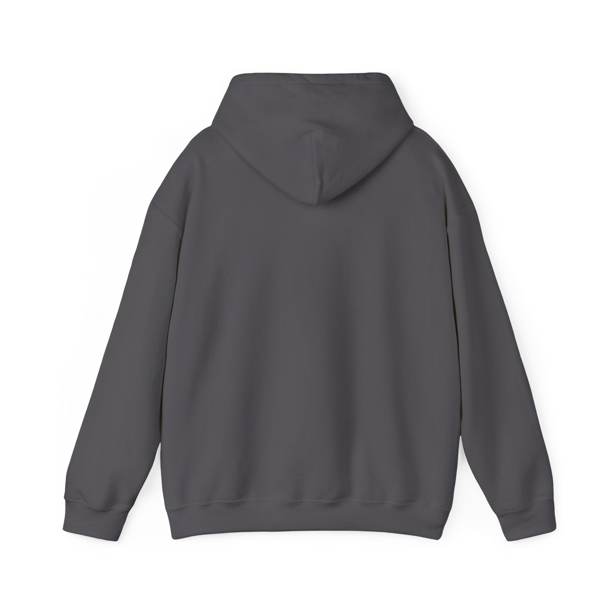 Consistency is Key Hoodie | Barbell Fitness Motivation Sweatshirt