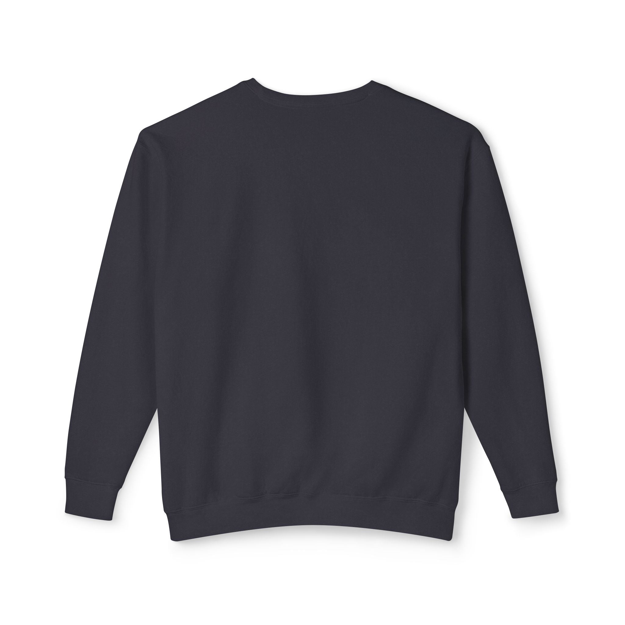 Earned Not Given Crewneck sweatshirt | Motivational Quote Sweatshirt