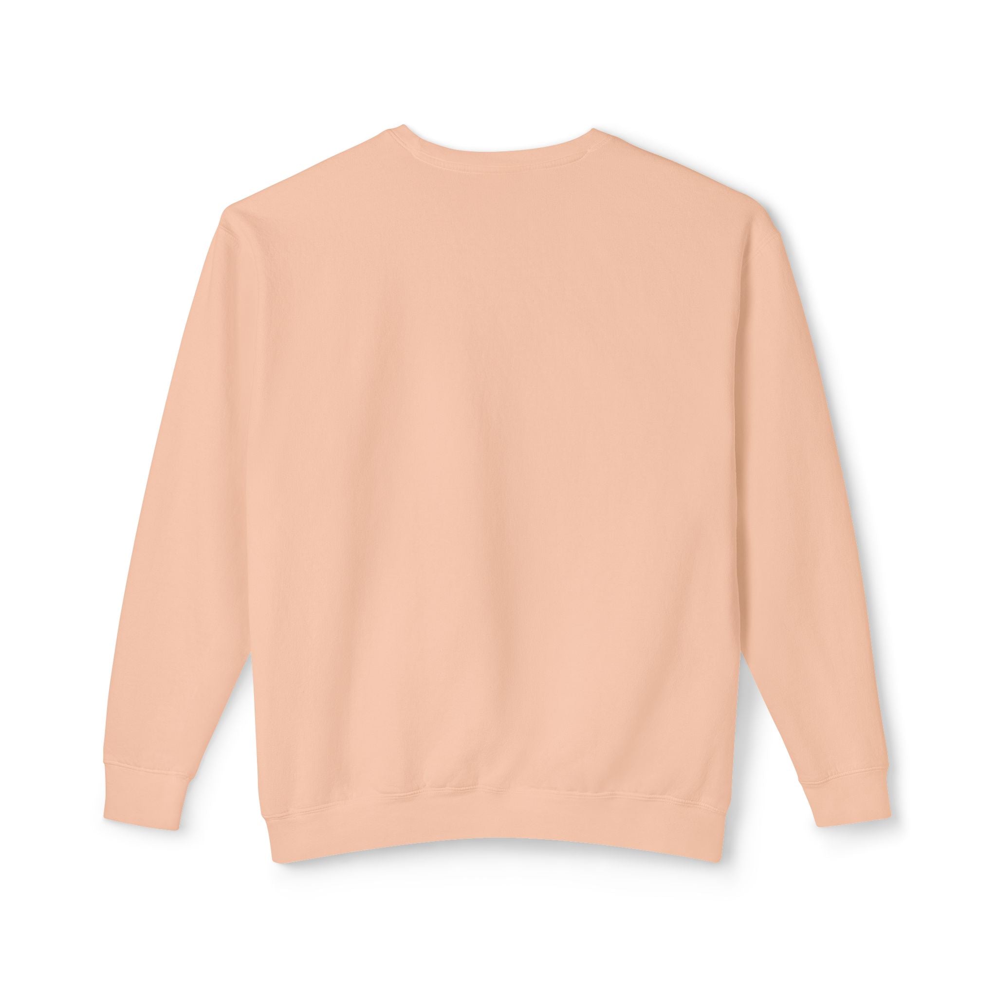 Earned Not Given Crewneck sweatshirt | Motivational Quote Sweatshirt