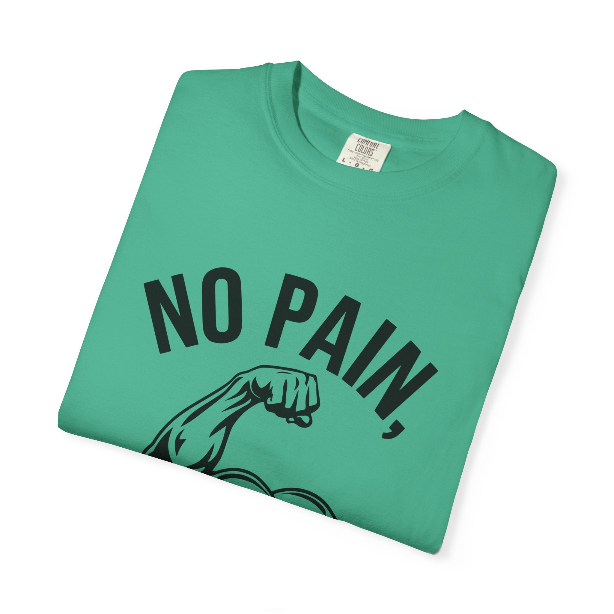No Pain No Gain Muscle Tee — Motivational Workout T-Shirt
