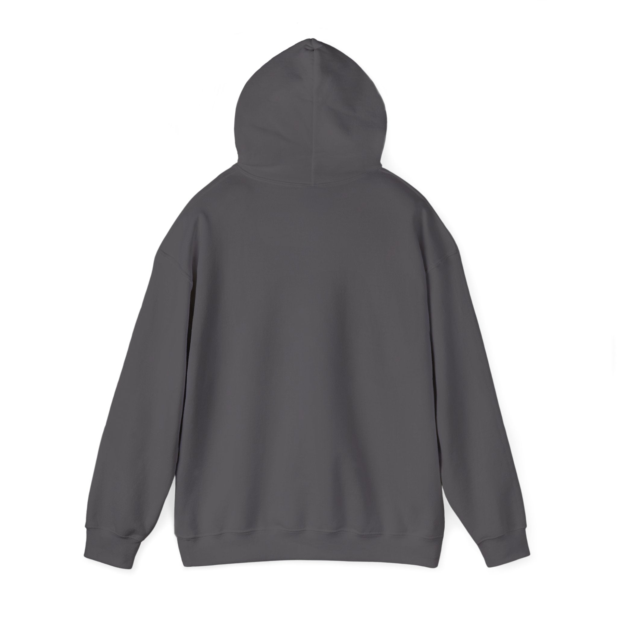 Consistency is Key Hoodie | Barbell Fitness Motivation Sweatshirt