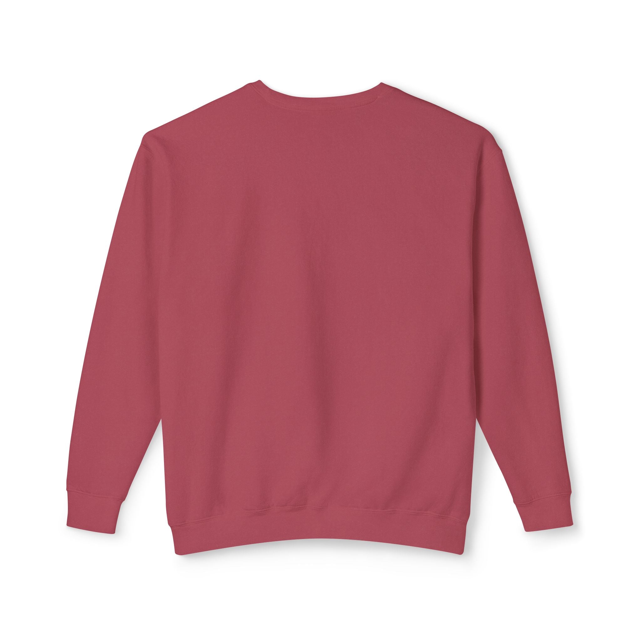 Earned Not Given Crewneck sweatshirt | Motivational Quote Sweatshirt
