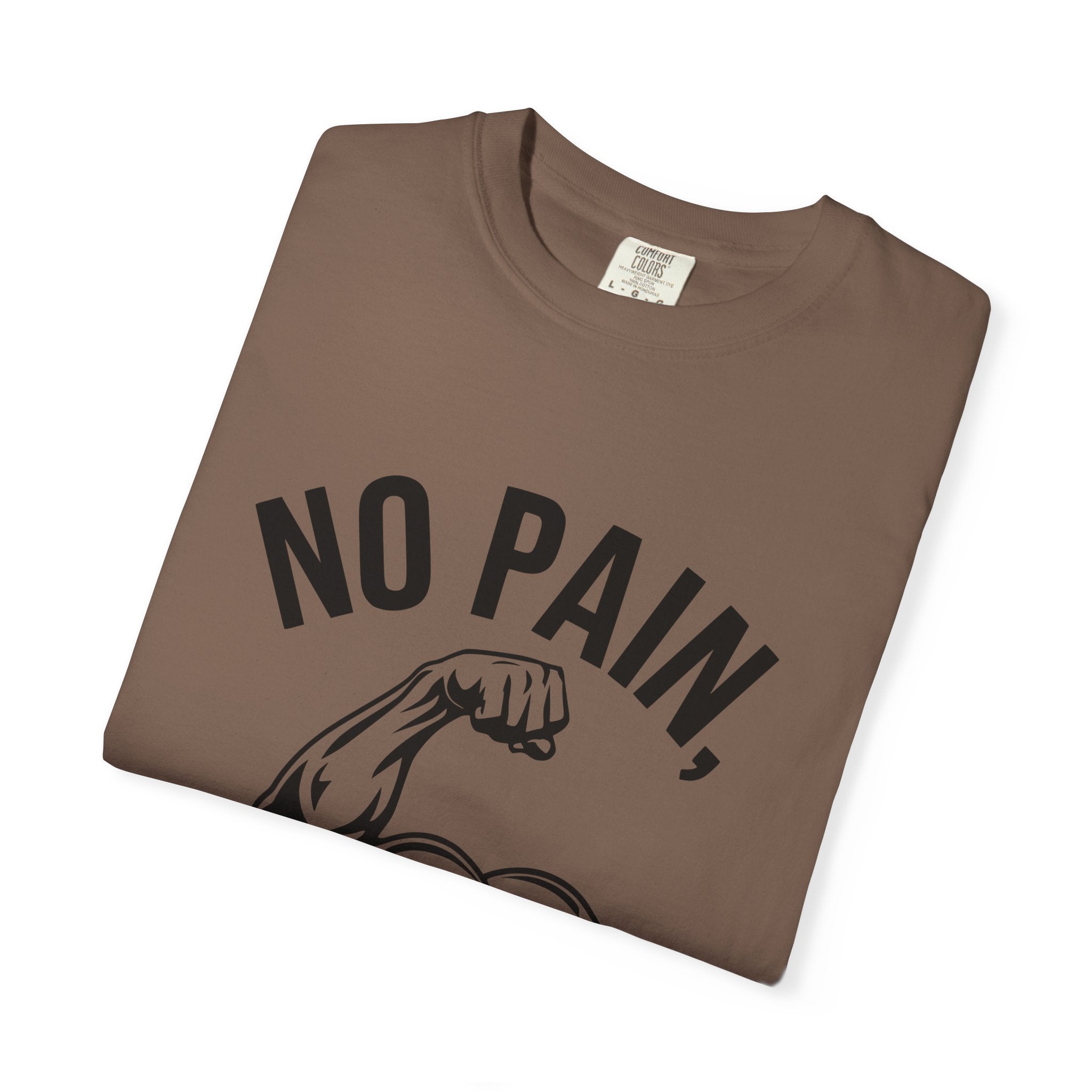 No Pain No Gain Muscle Tee — Motivational Workout T-Shirt