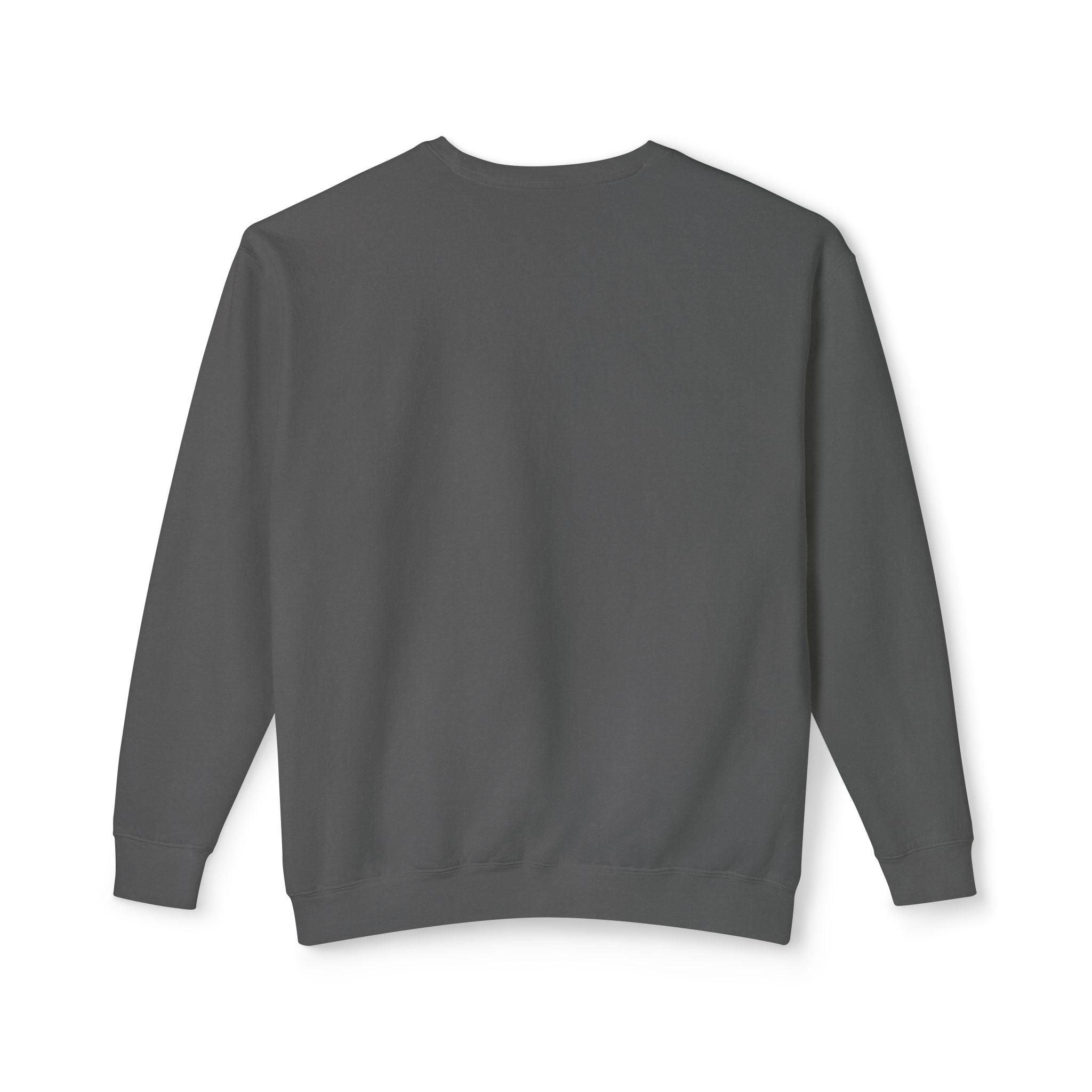 Earned Not Given Crewneck sweatshirt | Motivational Quote Sweatshirt